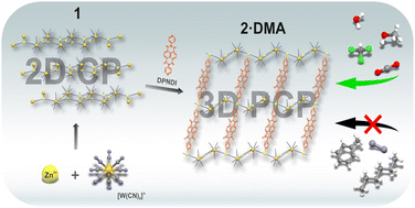 graphical abstract publikacji Exploring Porosity...